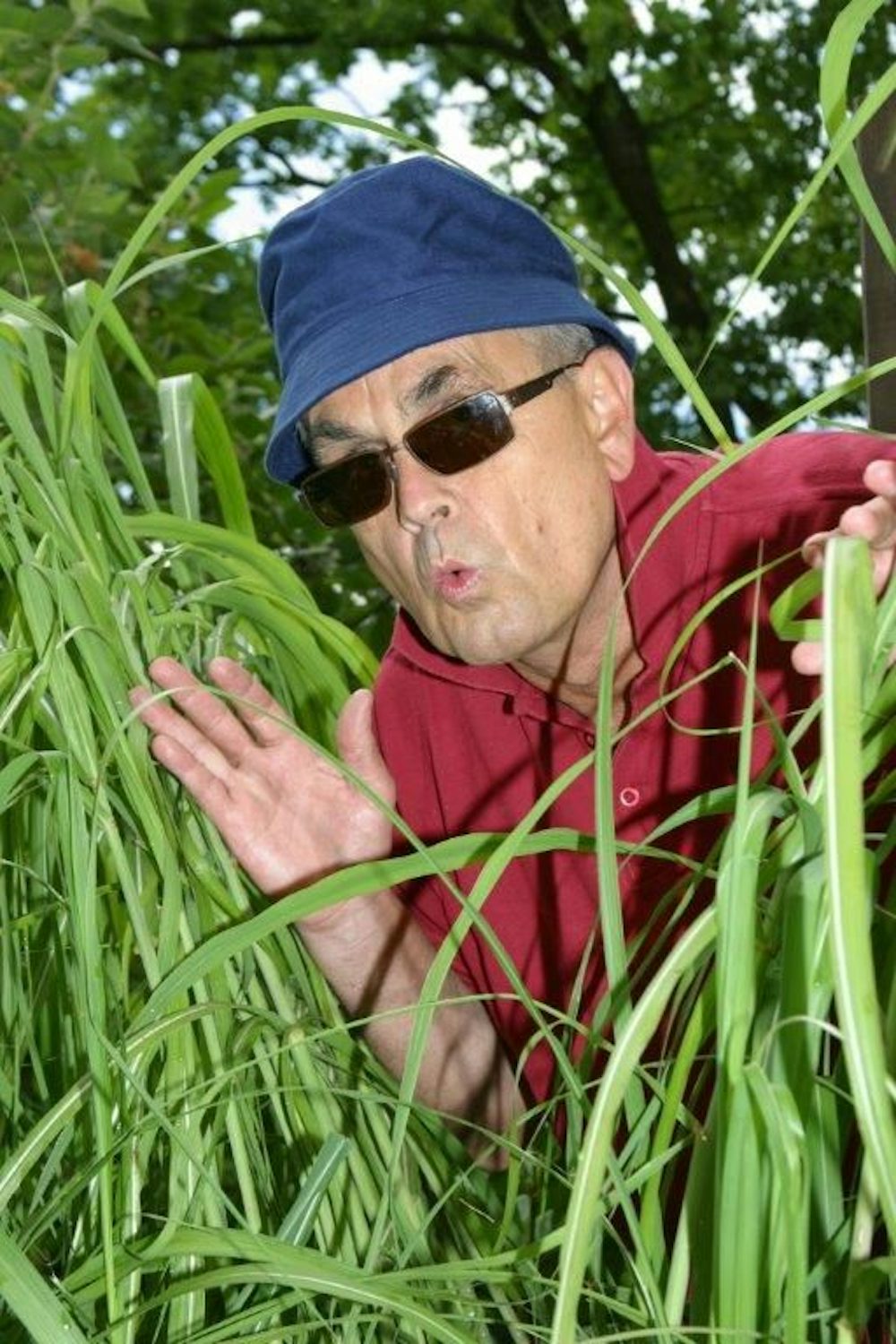 Manfred Fock, Autor Heimatkreiseln