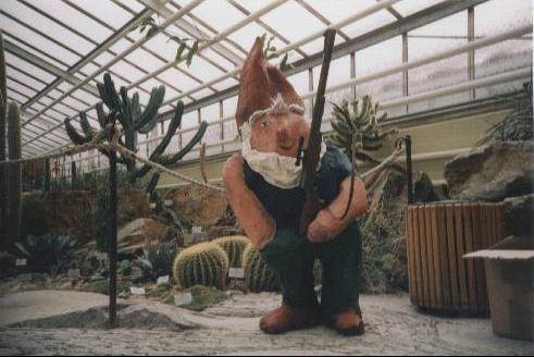 Eine große Gartenzwerg-Figur mit Gewehr steht inmitten von Kakteen und Sukkulenten in einem Gewächshaus.