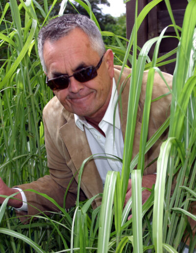 Buchautor Manfred Fock blickt schmunzelnd mit Sonnenbrille hinter hohem Chinaschilf im Garten hervor.